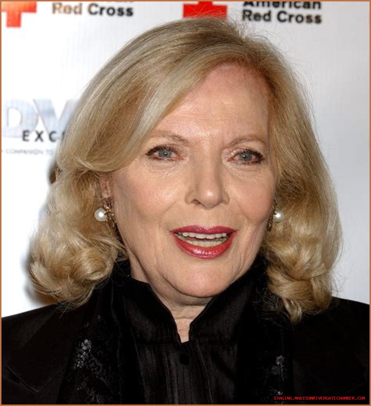 Barbara Bain: The Iconic Actress Who Captivated Generations